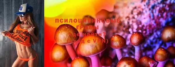 ECSTASY Арсеньев